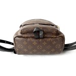 Louis Vuitton Palm Springs PM Backpack